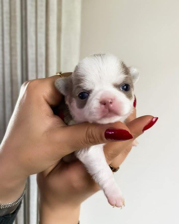 IMG_20260207_220244_341