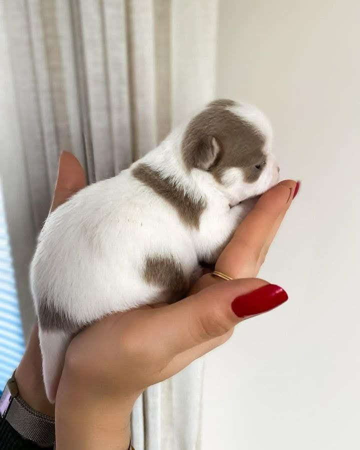 IMG_20260207_220245_193