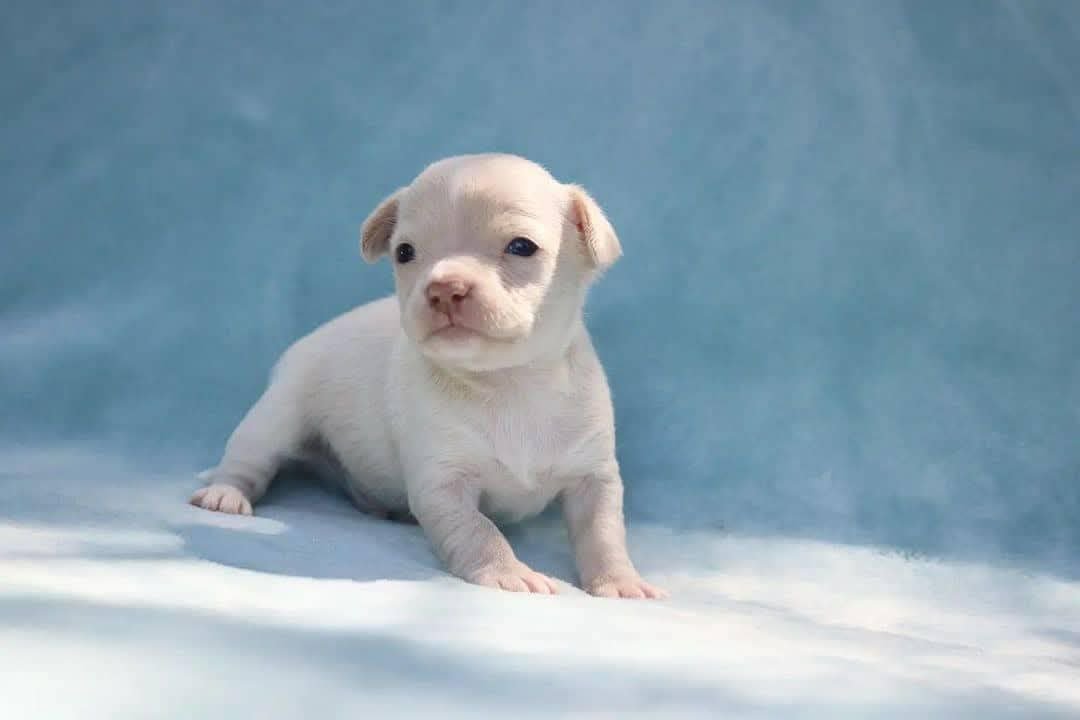 IMG_20260207_220257_153