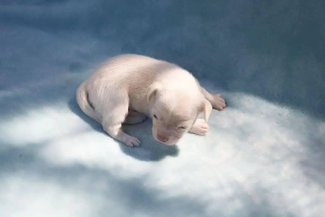 IMG_20260207_220257_365