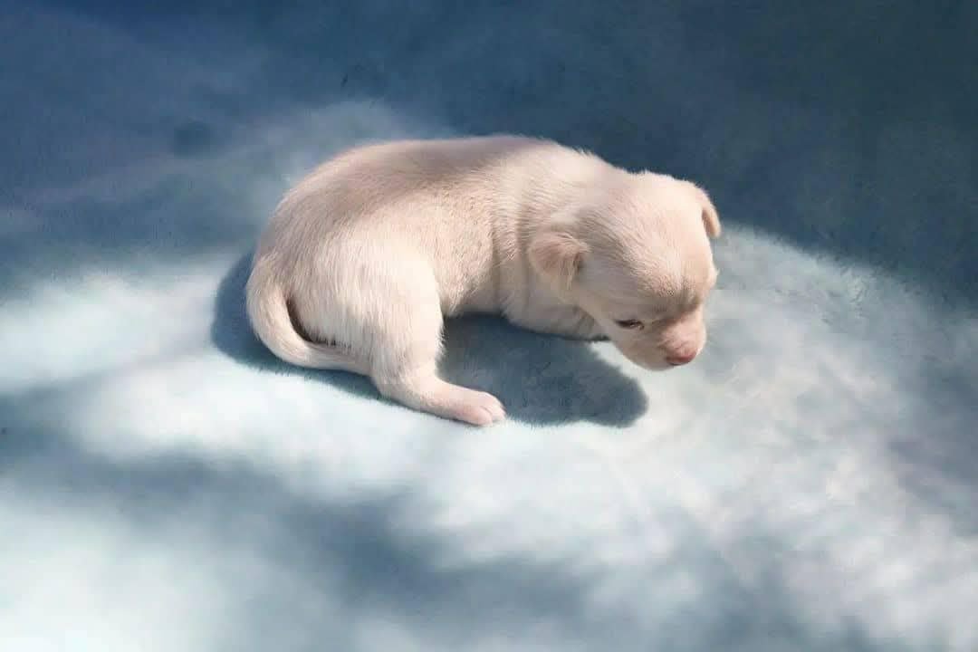 IMG_20260207_220257_507