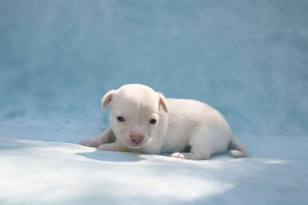 IMG_20260207_220258_000