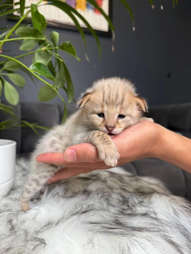 photo_2026-01-06_12-46-44-768x1024