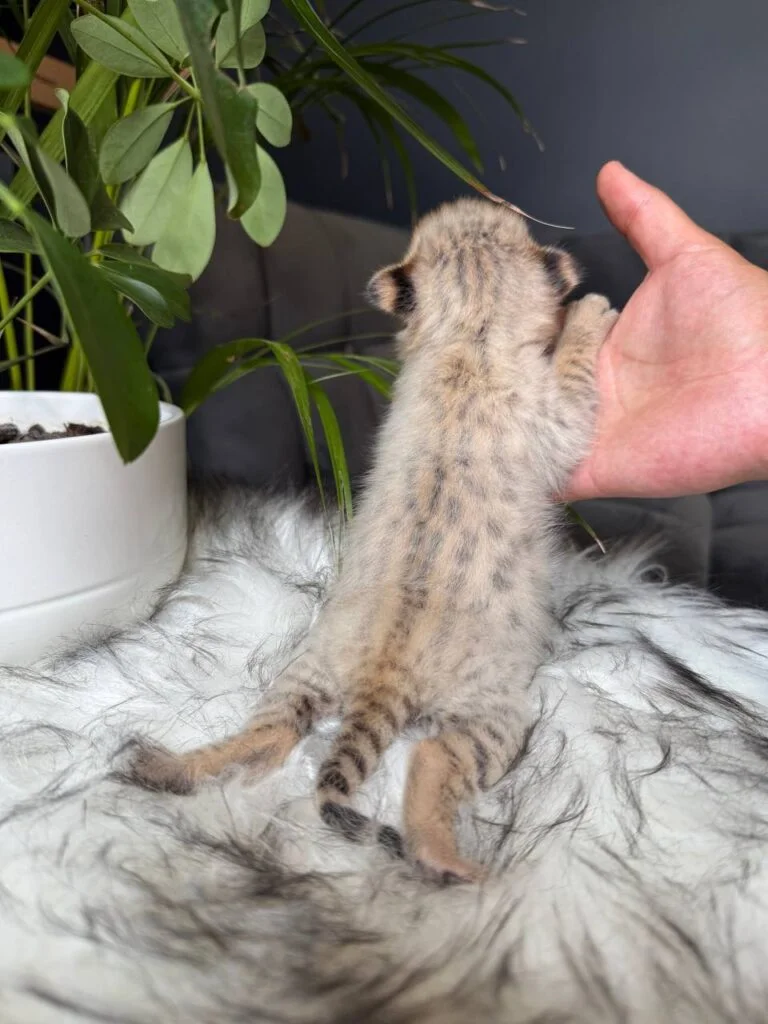 photo_2026-01-06_12-46-53-768x1024