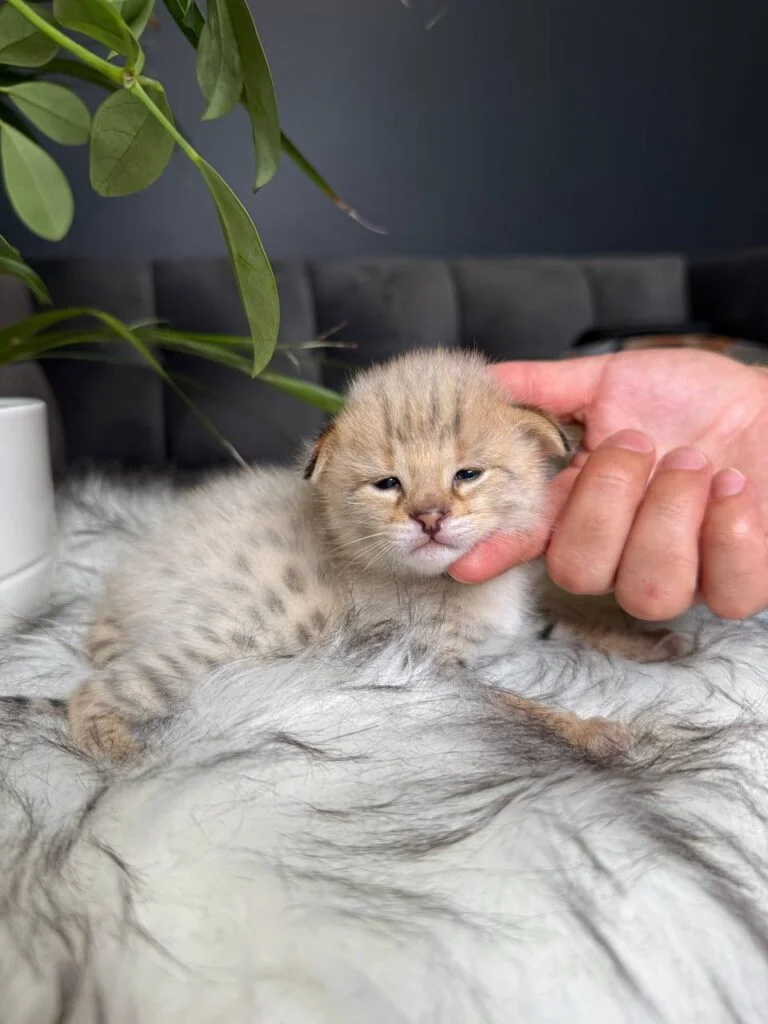 photo_2026-01-06_12-47-01-768x1024