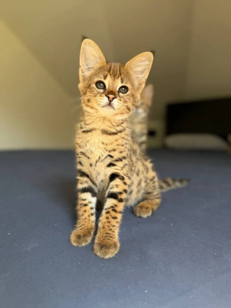 photo_2026-01-06_14-24-32-768x1024