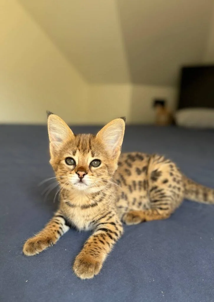 photo_2026-01-06_14-24-40-725x1024