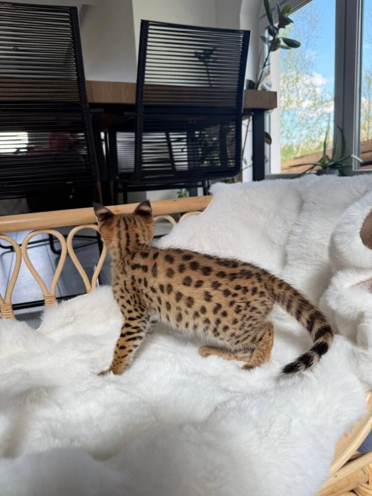 photo_2026-01-06_14-24-49-768x1024