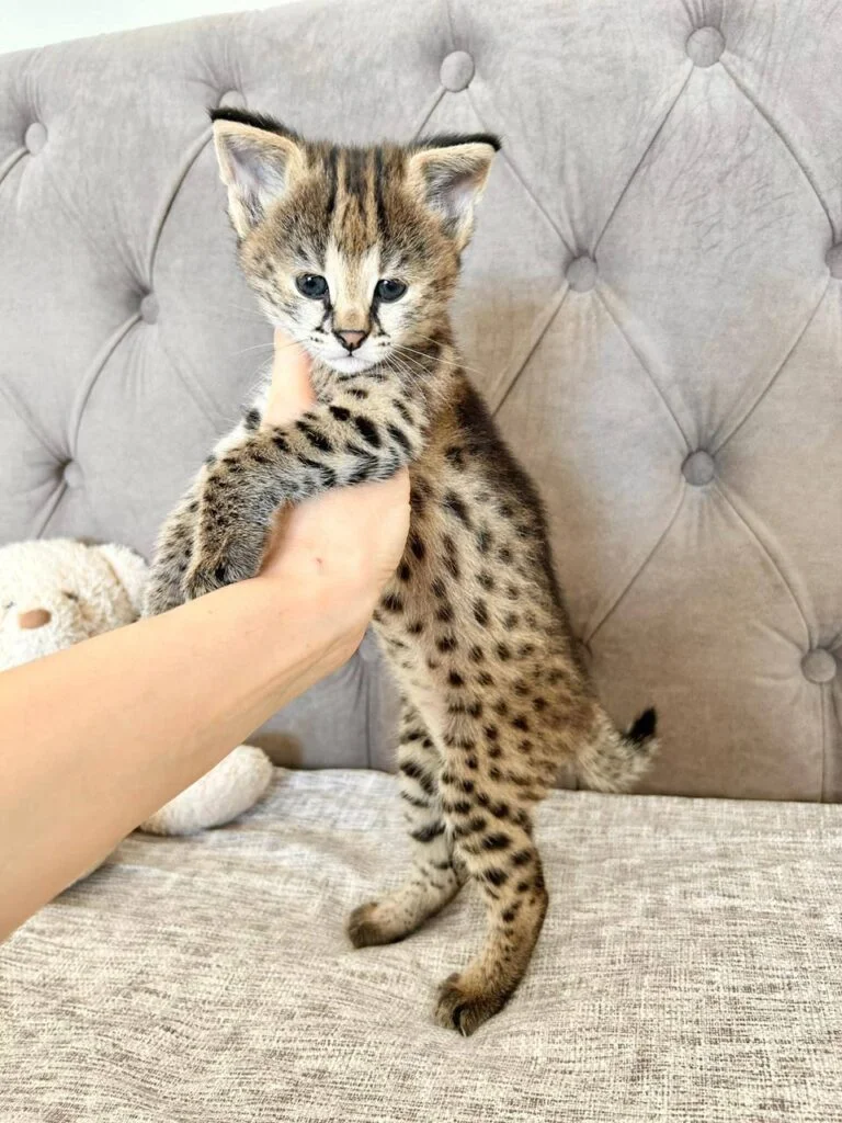 photo_2026-01-06_14-45-16-768x1024